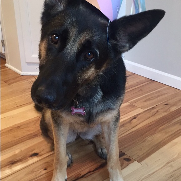 About me! ๐ฟ - Picture 8 of 8